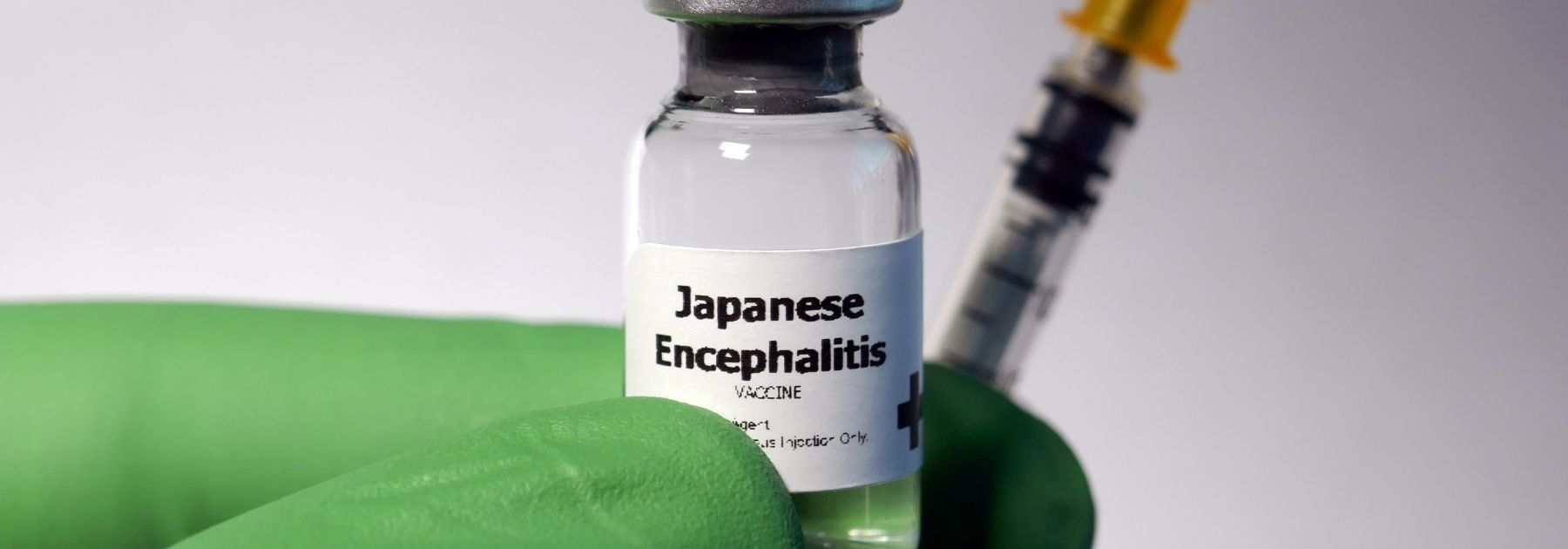 Japanese Encephalitis vaccine